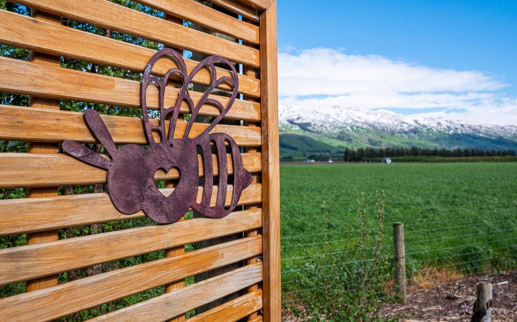 Honey Cottage In Ettrick Millers Flat Exterior foto